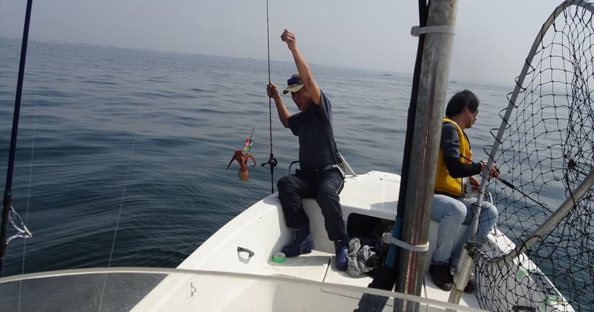 大阪湾釣り船タコ釣果